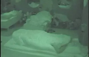 XXX جمعی از منحرفان با خوشحالی تماشا می عکس های زنان سکسی کنند که نوزادان آهنین زیبایی جوانان را در بیدمشک لعنتی می کنند