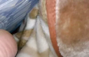 XXX Pretty Nikki دمیدن از blowjob خود را به ﻿عکس سکسی زن بهترین دوست خود